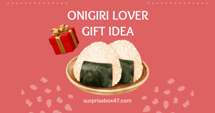 Great Gift Ideas for Onigiri Lovers – Cute and Totally Rice-tastic