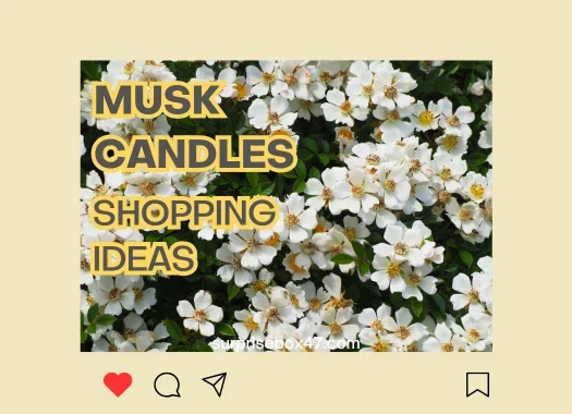 Ultimate Guide: The Best Musk Candles That Create Irresistible Ambiance